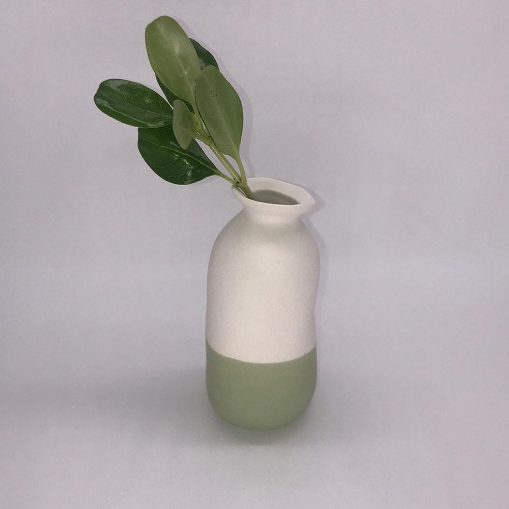 🌿Vase